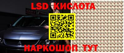 прущие крисы Кулебаки