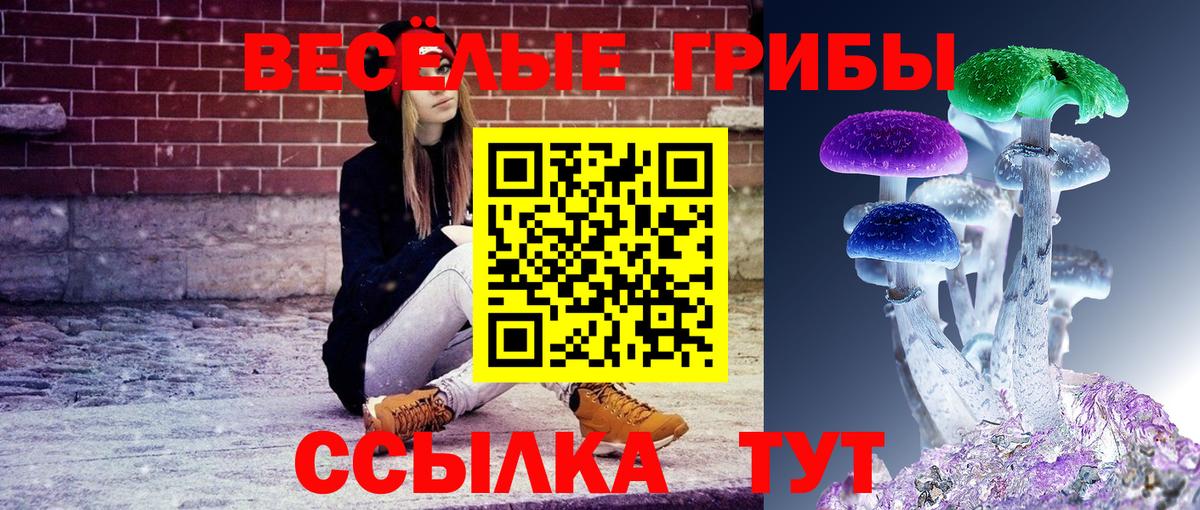 Конопля  ГАШ  КОКАИН  Меф МЯУ МЯУ   Зерноград  Вход с VPN  A-PVP СОЛЬ кристаллы 