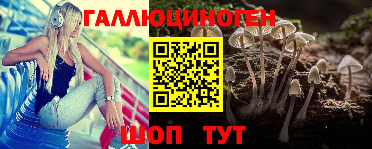 Галлюциногенные грибы мухоморы  Вход с VPN  Зерноград  Галлюциногенные грибы Cubensis 